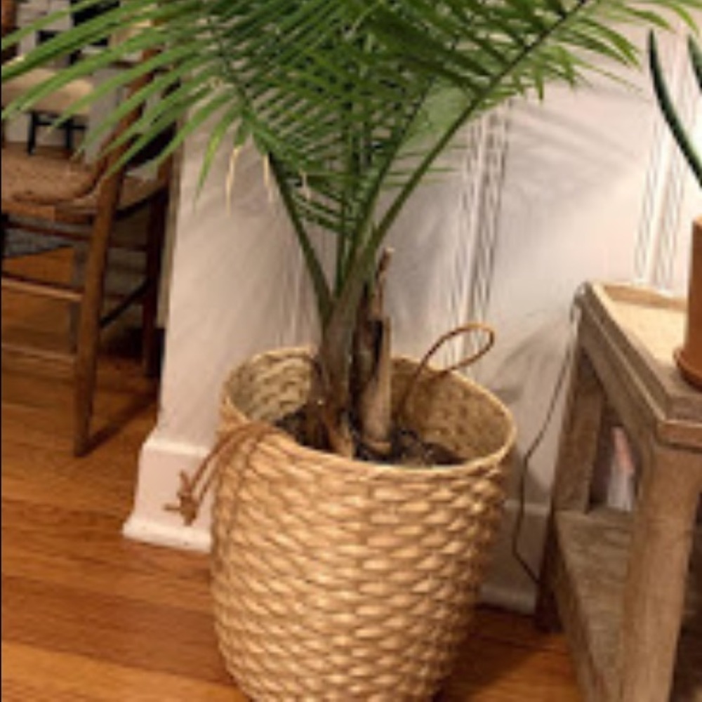 Planter 🌴